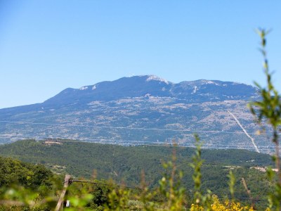 Villa Villa Franz Krbune - Environment photo 33