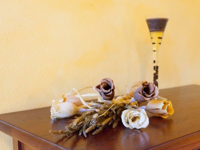 Villa Villa Franz Krbune - Outdoor photo 35