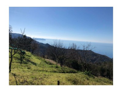 Holiday house Casa Ria - Environment photo 10