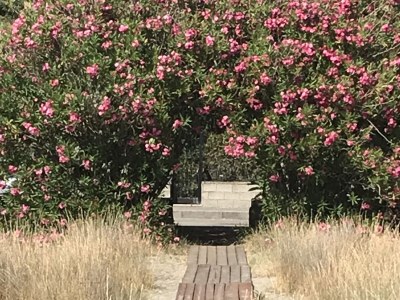 Holiday house Casa Ria - Environment photo 11