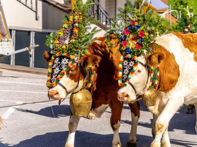 Apartment Appartement Nr. 4: 2 getrennte Schlafzimmer 4Pers - Outdoor photo 17
