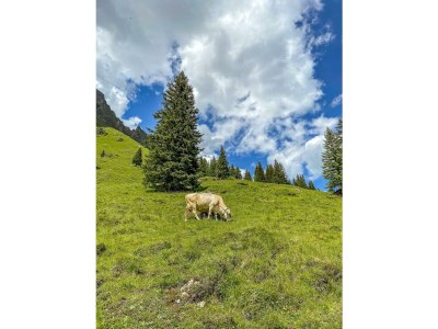 Apartment Appartement Nr. 4: 2 getrennte Schlafzimmer 4Pers - Outdoor photo 38