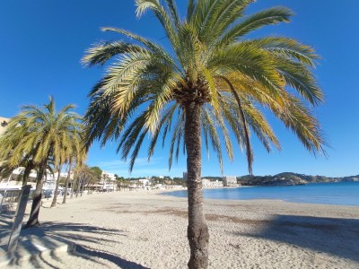 Holiday apartment No title - Environment photo 43