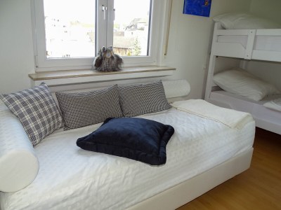 Holiday apartment Ahrterrassen I - Penthouse - Features photo 12