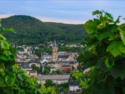 Holiday apartment Ahrterrassen I - Penthouse - Environment photo 17