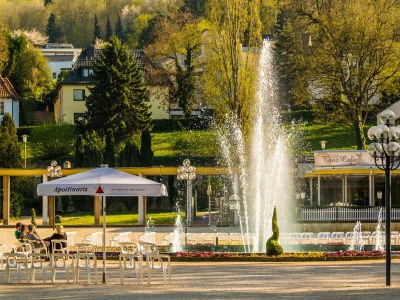 Holiday apartment Ahrterrassen I - Penthouse - Environment photo 23