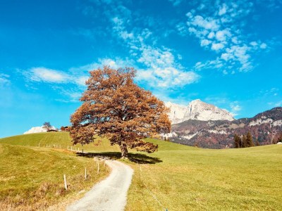 Apartment Ferienhaus 160qm/3 Schlafzimmer/ 2 DuscheBad, - Outdoor photo 10