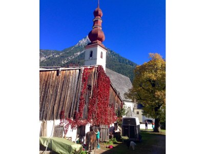 Apartment Ferienhaus 160qm/3 Schlafzimmer/ 2 DuscheBad, - Outdoor photo 12