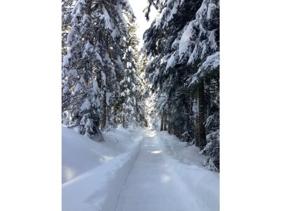 Apartment Ferienhaus 160qm/3 Schlafzimmer/ 2 DuscheBad, - Outdoor photo 14