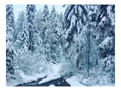 Apartment Ferienhaus 160qm/3 Schlafzimmer/ 2 DuscheBad, - Outdoor photo 17