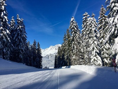 Apartment Ferienhaus 160qm/3 Schlafzimmer/ 2 DuscheBad, - Outdoor photo 19