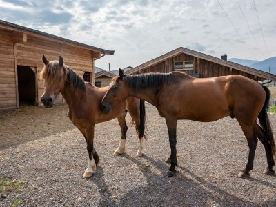 Apartment Appartement Family de Luxe - Outdoor photo 27