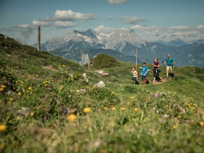 Apartment Ferienhaus Chalet - Outdoor photo 11