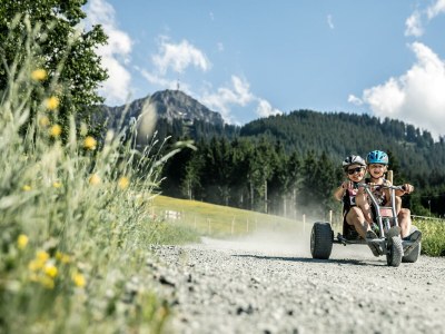 Apartment Ferienhaus Chalet - Outdoor photo 12