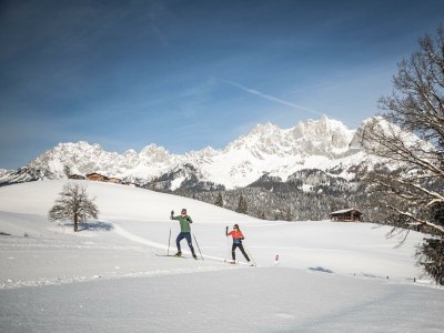 Apartment Ferienhaus Chalet - Outdoor photo 25