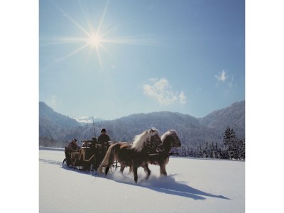 Apartment Appartement Typ 3 - Outdoor photo 69