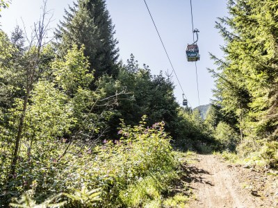 Apartment Appartement Typ 3 - Outdoor photo 92