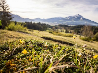 Apartment Appartement Typ 3 - Outdoor photo 103