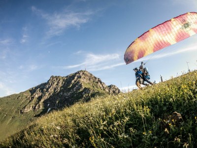 Apartment Appartement Typ 1 - Outdoor photo 94