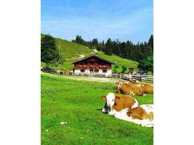 Apartment Appartement Typ 3 - Outdoor photo 86