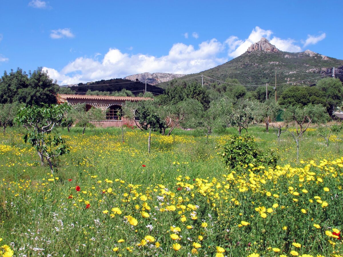 Cottage Casa Campagna nahe Arbatax - Outdoor photo 5