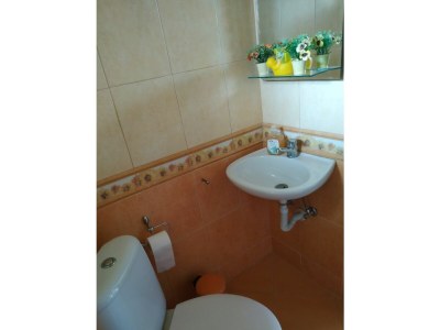 Villa Traditional Estate Pool Garden - Features photo 20