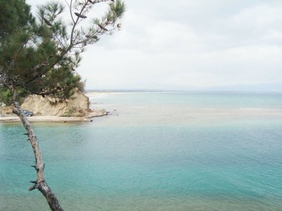 Villa Traditional Estate Pool Garden - Environment photo 21