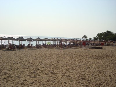 Villa Traditional Estate Pool Garden - Environment photo 23