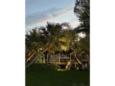 Villa La Palme - Environment photo 40