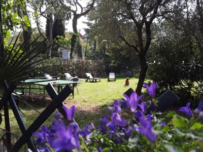 Holiday apartment Lydia - Outdoor photo 11