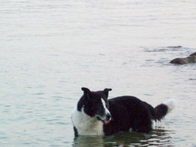 Holiday apartment Lydia - Environment photo 32