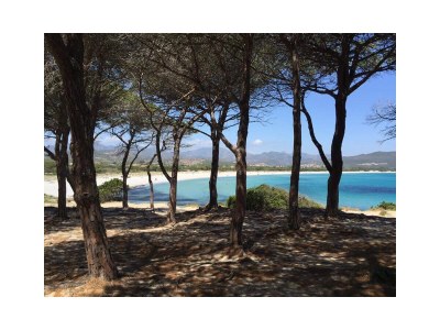 Holiday apartment Ventroni - Environment photo 15