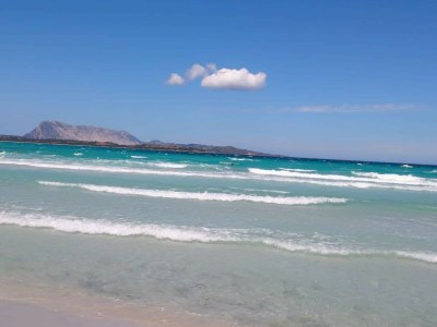 Holiday apartment Ventroni - Environment photo 16