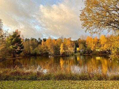 Holiday house Haus am See - Outdoor photo 6