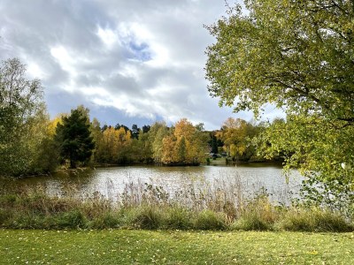 Holiday house Haus am See - Outdoor photo 17