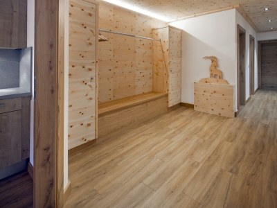 Apartment 6-Personenwohnung Appartement 3 - Features photo 31