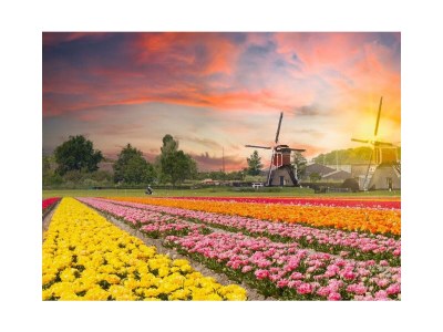 Holiday house Garden Find - Outdoor photo 6