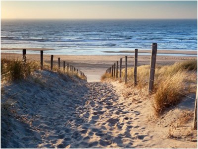 Holiday house Garden Find - Environment photo 19