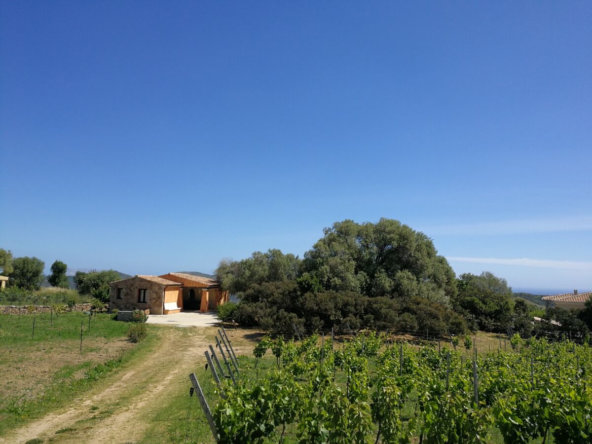 Holiday house Landhaus Piras nahe Budoni - Outdoor photo 2