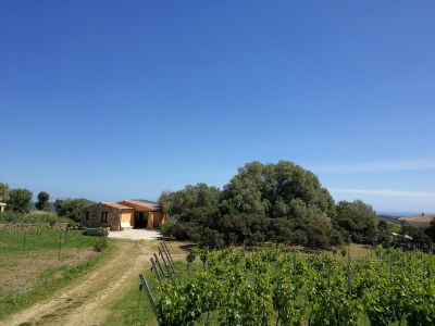 Holiday house Landhaus Piras nahe Budoni - Outdoor photo 2