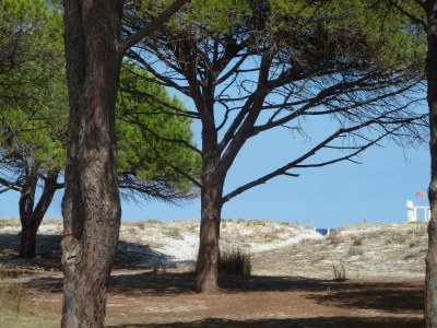 Holiday house Landhaus Piras nahe Budoni - Environment photo 23