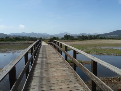 Holiday house Landhaus Piras nahe Budoni - Environment photo 25