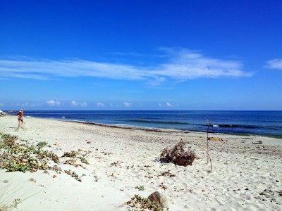 Holiday house Landhaus Piras nahe Budoni - Environment photo 26