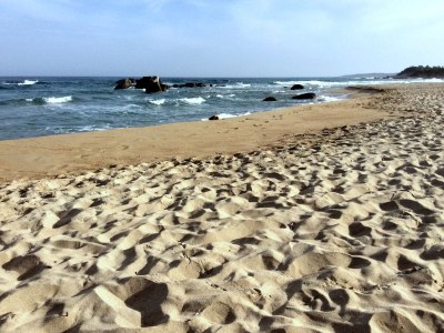 Holiday house Landhaus Piras nahe Budoni - Environment photo 35