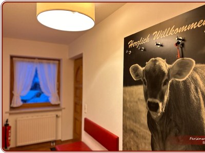 Apartment Apartment Ifen - 1 Schlafraum - Features photo 18