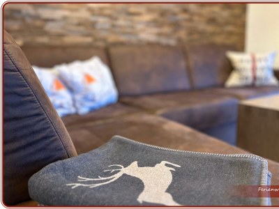 Apartment Apartment Ifen - 1 Schlafraum - Features photo 28