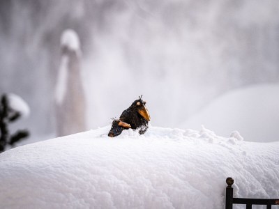 Holiday house No title - Outdoor photo 15