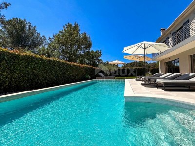 Villa Villa Vinomore in Vabriga - Villa