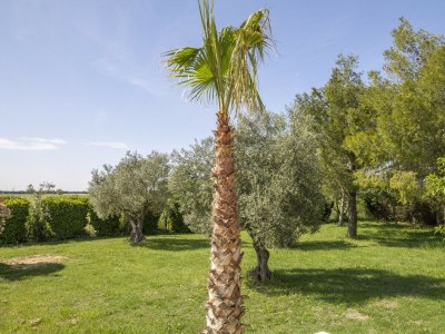 Villa Villa Les Buisses - Outdoor photo 19