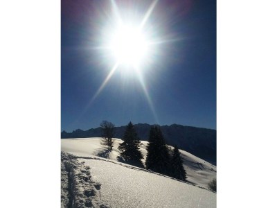 Apartment Apartm."5"-1 Schlafraum/DU,WC,TV,Balkon - Outdoor photo 12